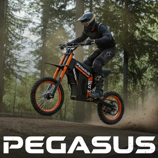 Rugged TrailMaster Fat Tire Bike